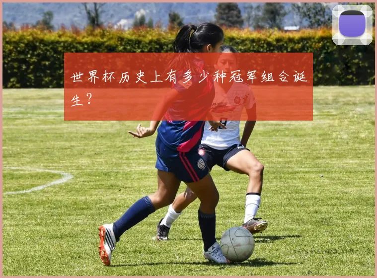 世界杯历史上有多少种冠军组合诞生？