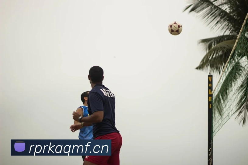 乐鱼网页版官方登录入口APP 高清赛事图